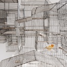 <p>
Bird<br />
150x210x430 cm, installation, ca. 50 steel cages, bird / 2011</p>