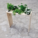 <p>
Table sprincled with flowers / 2011</p>